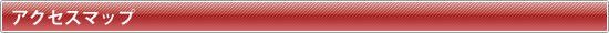 ӂ܃tH[ŁAu_TvbЈē`ANZX}bv